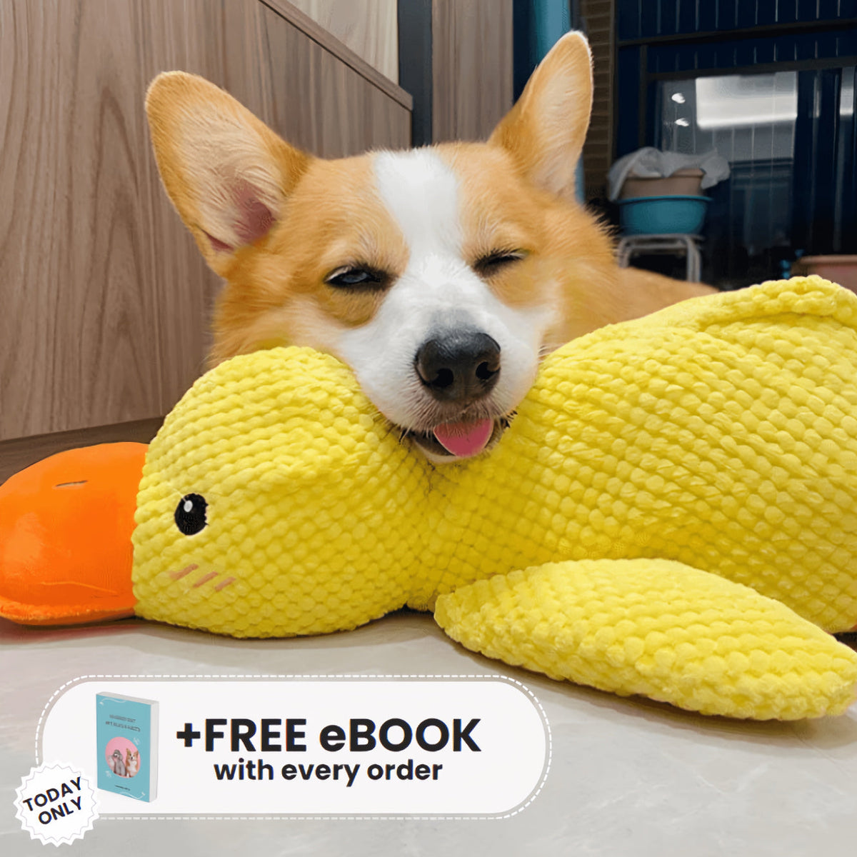 Calming Duck Toy