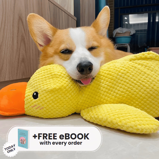 Calming Duck Toy