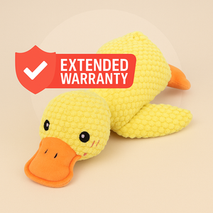Extended Warranty Protection