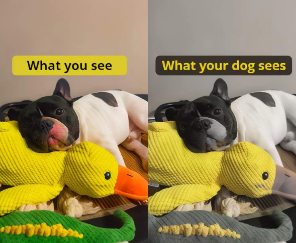 Designed in a special shade of yellow that dogs naturally notice.
